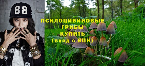 каннабис Аркадак
