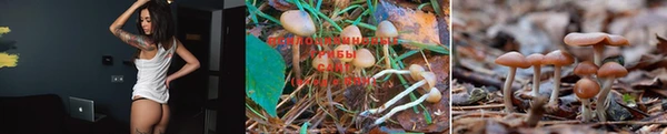 круглые Арсеньев