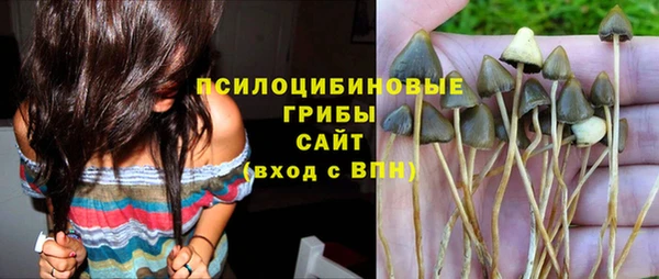 круглые Арсеньев